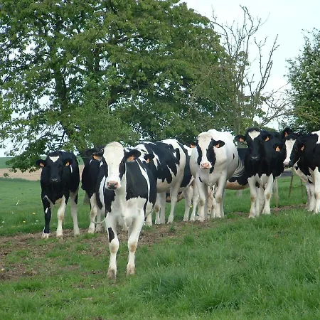 Battery Valley Farm Grandcourt (Somme)